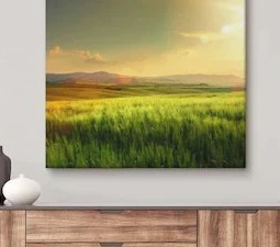 Canvas